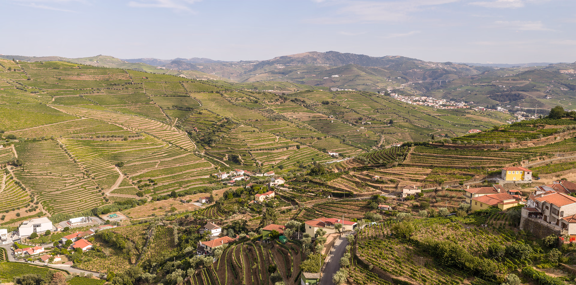 DJI202607151805000756D Douro Business Valley Casa entre Vales alojamento local no Douro